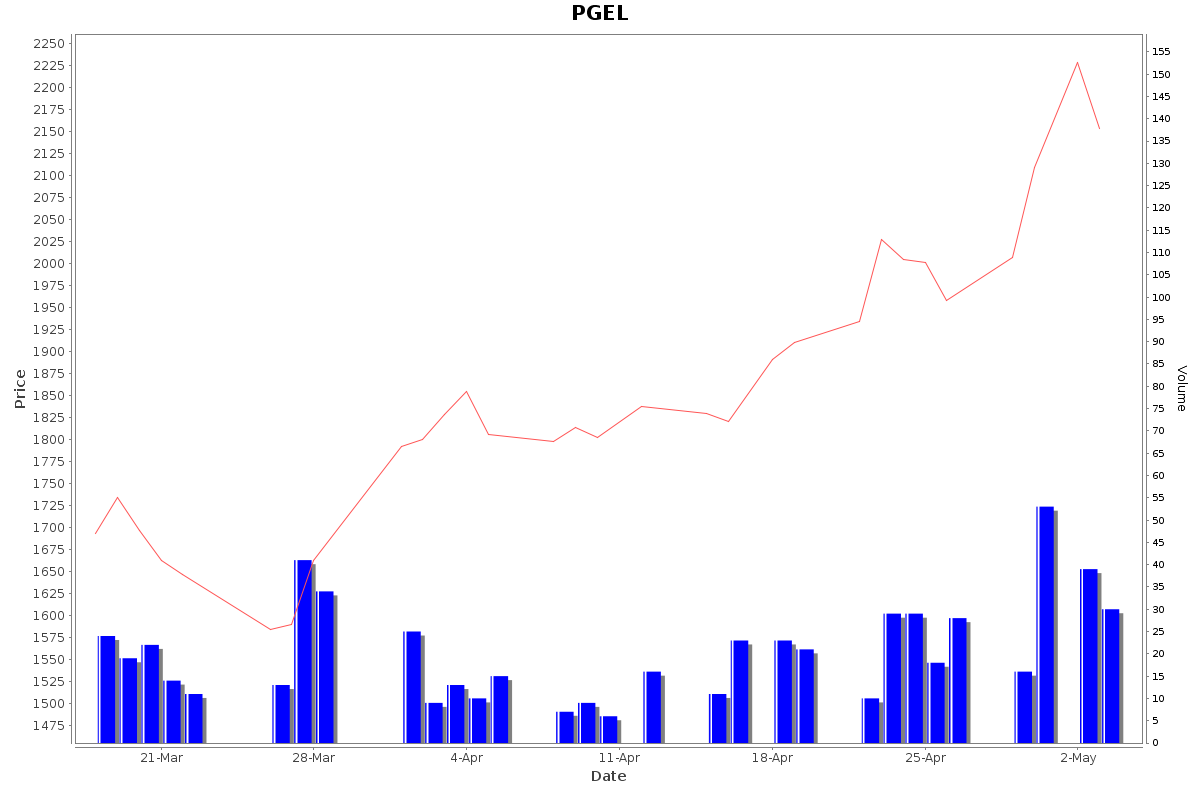 PGEL Daily Price Chart NSE Today